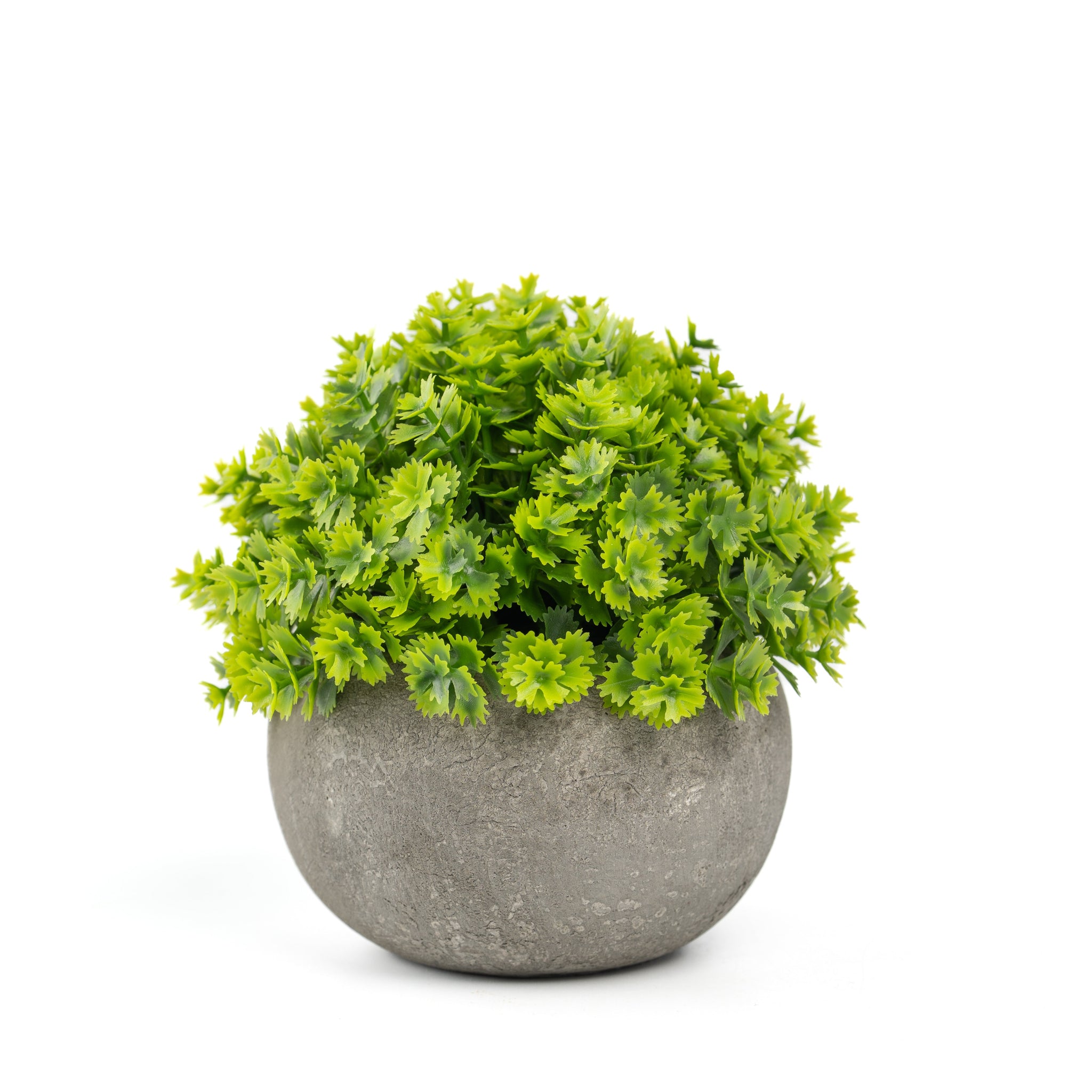 Artificial Succulent Plants