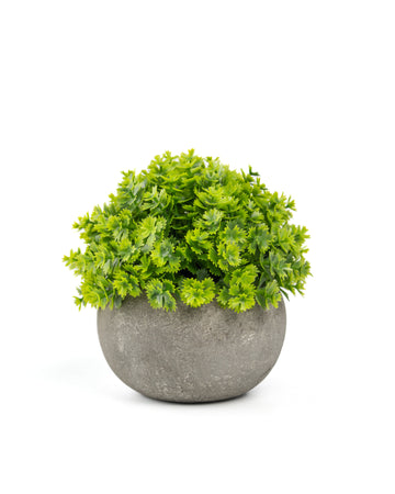 Artificial Succulent Plants