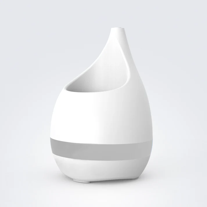 Modern Minimalist Decorative Vase for Home and Office