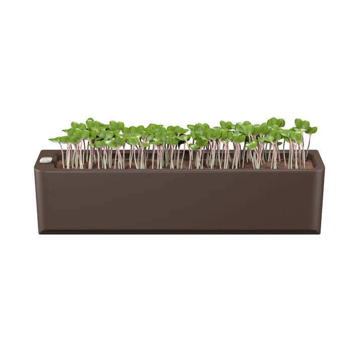 Self-Watering Rectangular Planter Box – Indoor Herb & Microgreens Grow Pot