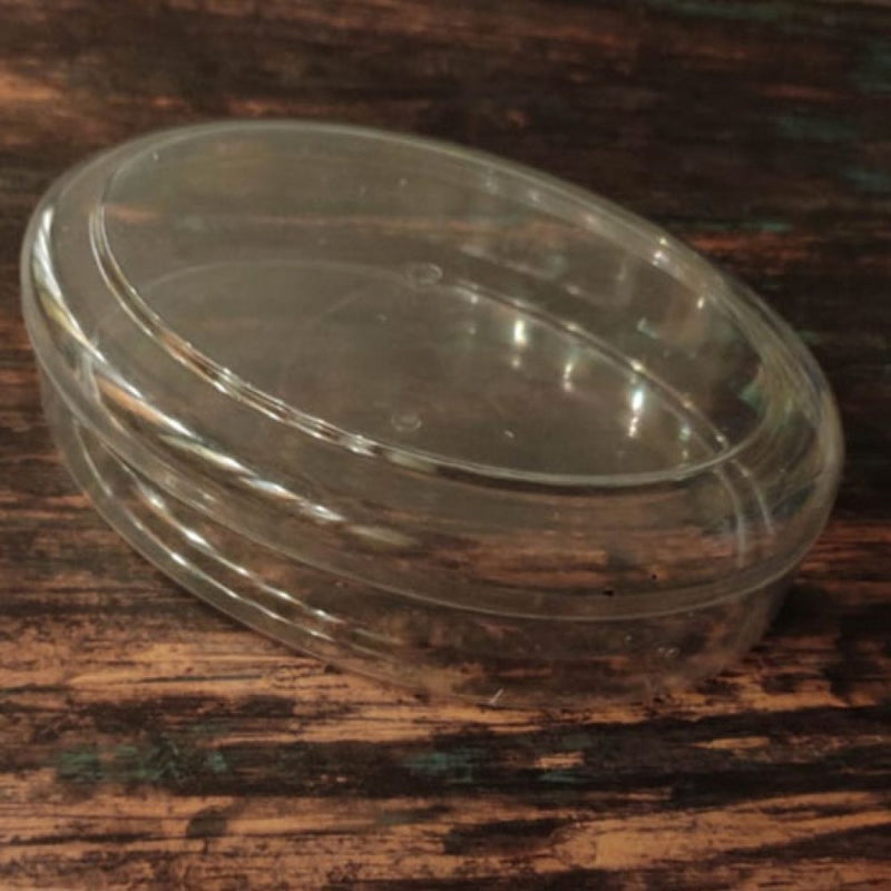 Oval Transparent Medium Crystal Box (20cmx15cmx6 cm): 1Nos