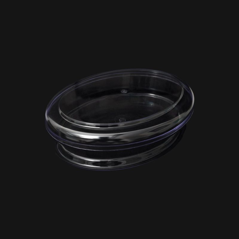 Oval Transparent Medium Crystal Box (20cmx15cmx6 cm): 1Nos